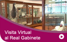 Visita Virtual