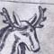 El Real Gabinete de Historia Natural