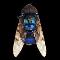 Diptera: Syrphidae