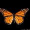 Lepidoptera: Nymphalidae. Fauna neártica, residente en algunas islas atlánticas. Migrante en Europa