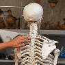 Taller Maquina de cuerpo