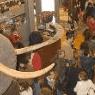 Visitantes MNCN