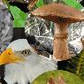 Imagen Biodiversidad