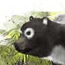 Reconstrucción de la nueva especie de úrsido (Agriarctos beatrix). Imagen: SINC / José Antonio Peñas