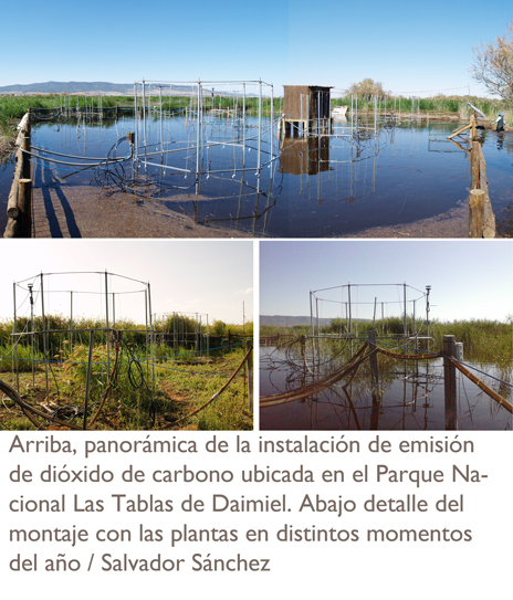 Vistas de la instalación