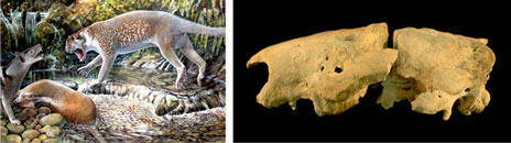 Peter Schouten // Autora de la fotografía: Anna Gillespie