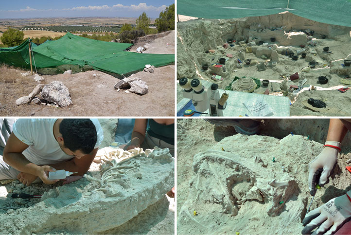 imágenes del yacimiento