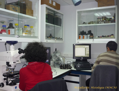 Histolog&iacute;a