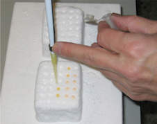 Laboratorio