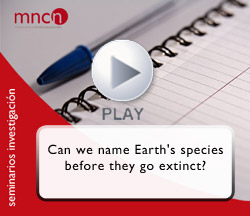 Seminario Mark Costello Seminario Mark Costello