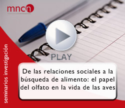 Seminario MNCN Luisa Amo Seminario MNCN