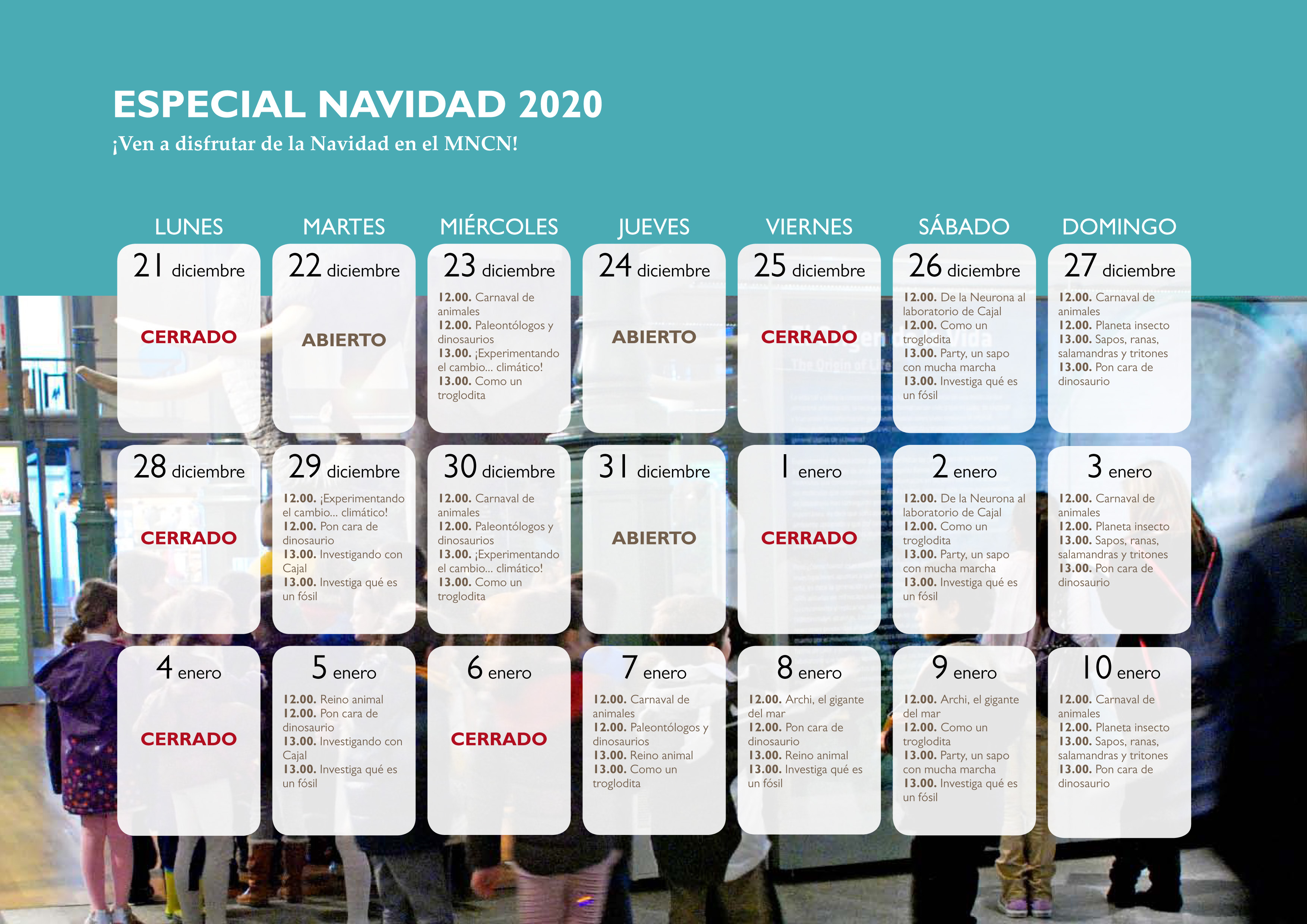 Calendario Navidad