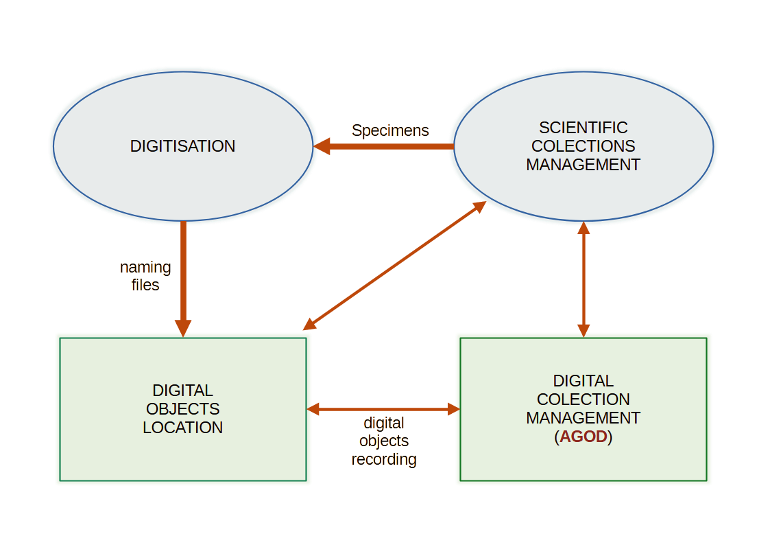 ICT infrastructure scheme, workflow and protocols.