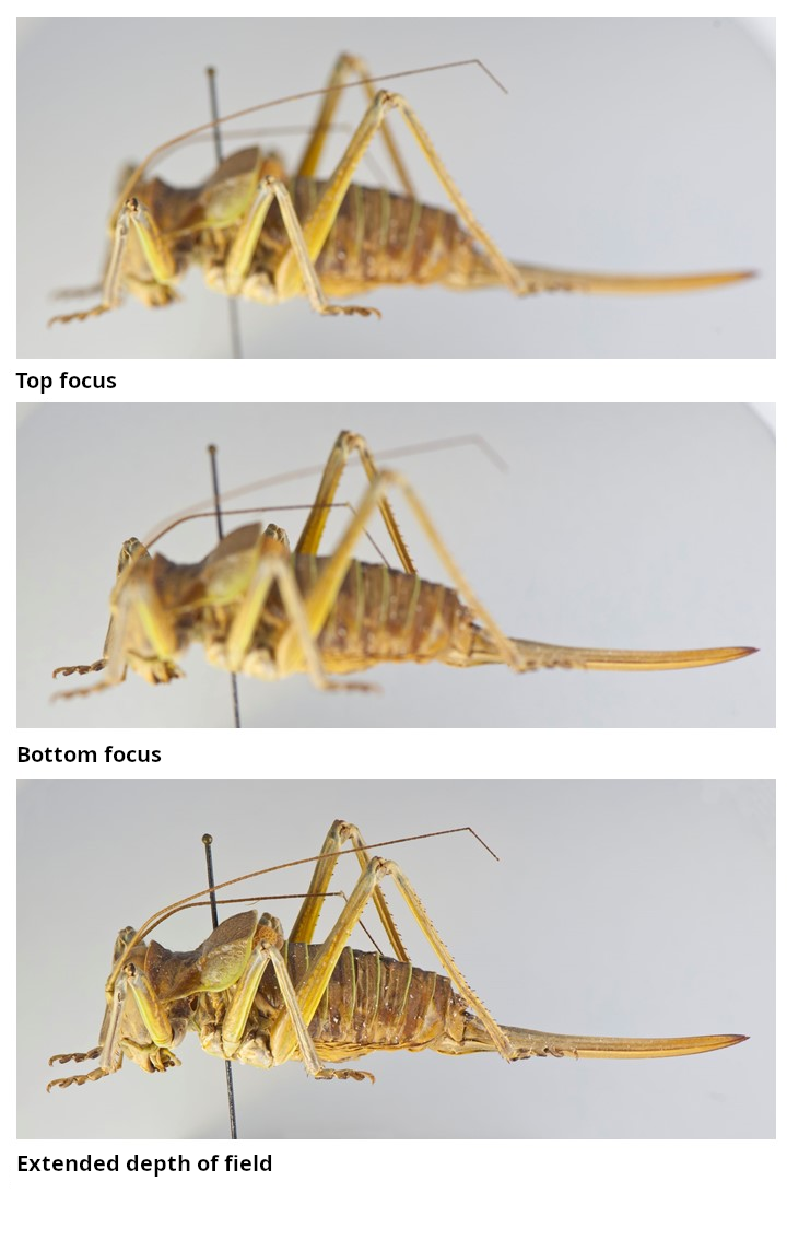 Extended Depth of Field