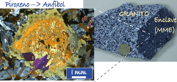 etalle de un enclave. En la imagen del microscopio se aprecian cristales de piroxeno de varios milímetros de diámetro, transformados en anfíbol, que son los testigos del origen mantélico de los magmas.