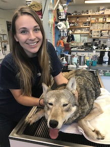 Lobo rojo y Tessa Nester