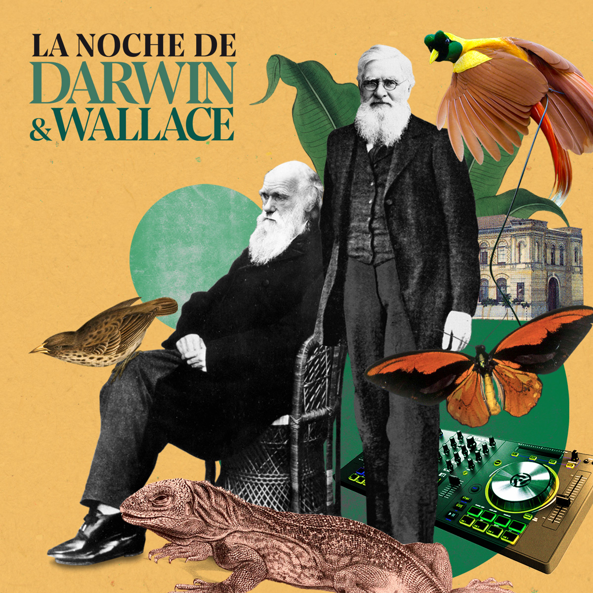 Cartel de la Noche de Darwin y Wallace 2025