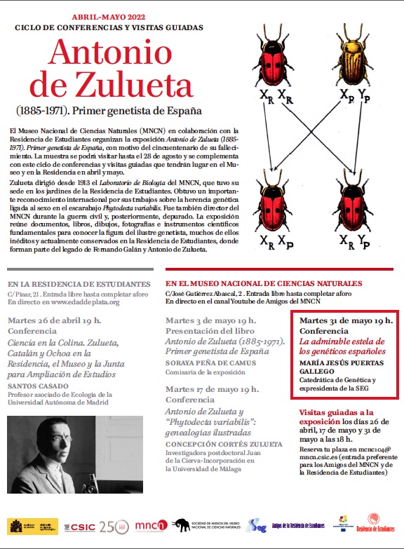 Zulueta 31