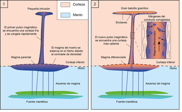 Explicación gráfica de la formación de los enclaves micro-granulares