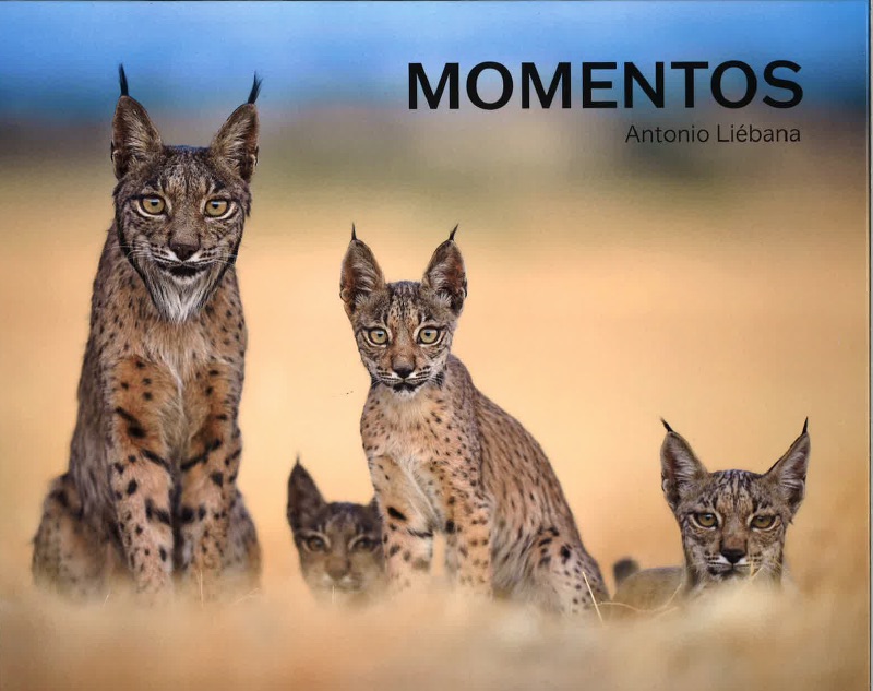 Portada momentos