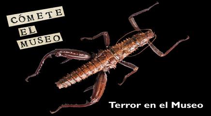 Imagen publicidad sesión terror en el museo