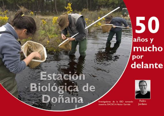 Portada del artículo "Estación Biológica de Doñana: 50 años y mucho por delante" de la revista NaturalMente 04