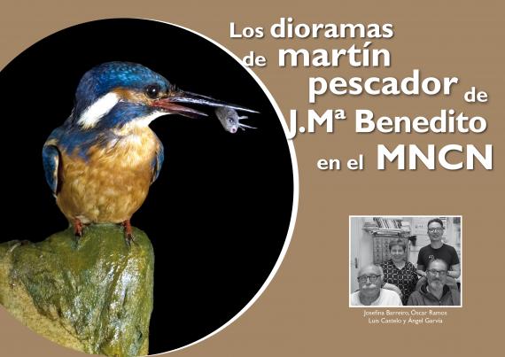Los dioramas de martín pescador de  J.Mª Benedito en el MNCN