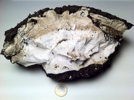 Un ejemplar de roca pumita del volcán de El Hierro se expone en el Museo Nacional de Ciencias Naturales Un ejemplar de roca pumita del volcán de El Hierro se expone en el Museo Nacional de Ciencias Naturales