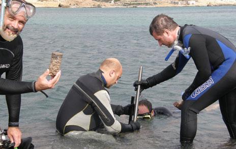Descubren una especie de molusco que pudo sobrevivir al periodo de desecación del Mediterráneo