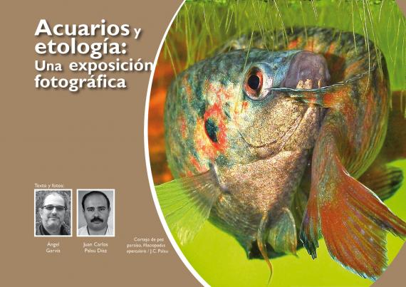 Portada del artículo "Acuarios y etología: Una exposición fotográfica" de la revista NaturalMente 22
