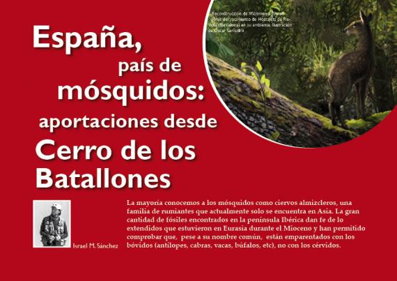 Portada del artículo "España, país de mósquidos: aportaciones desde Cerro de los Batallones" de la revista NaturalMente nº 8