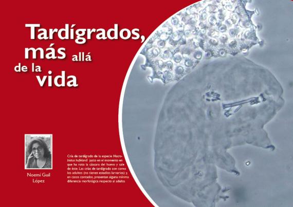 Portada del artículo "Tardígrados, más allá de la vida" de la revista NaturalMente nº 9