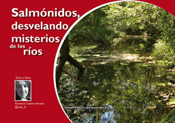 Portada del artículo "Salmónidos, desvelando misterios de los ríos" de la revista NaturalMente nº 9