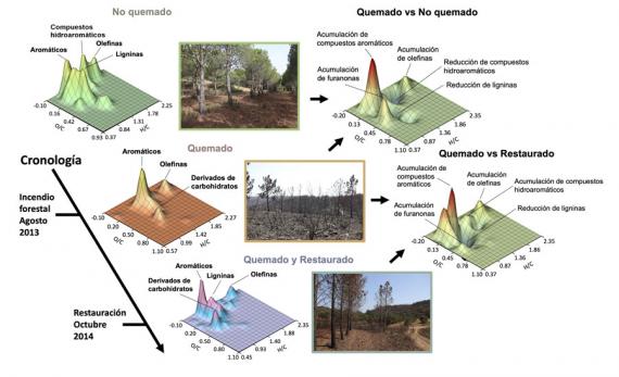 Efectos del fuego sobre el suelo 