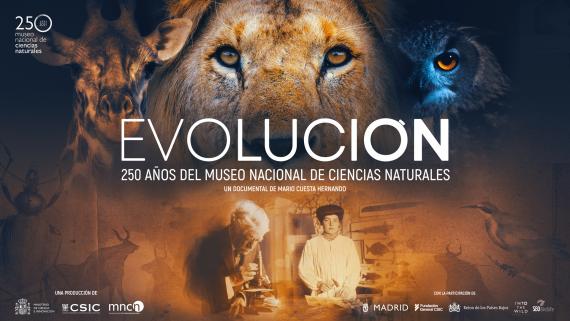 Cartel del documental