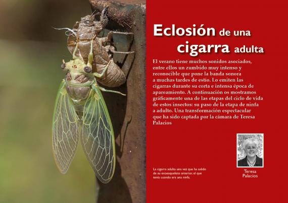 Portada del artículo