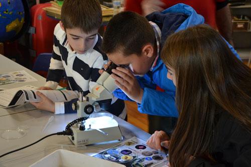 Niños mirando por un microscopio