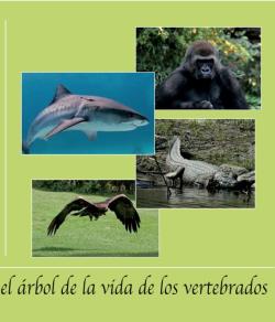 el libro