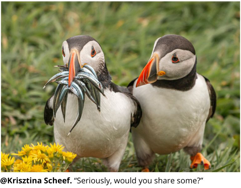 @Krisztina Scheef. Seriously, would you share some?