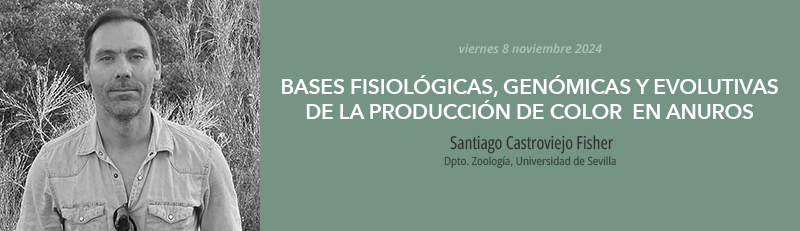 Seminario de investigación 8 noviembre 2024 - Santiago Castroviejo Fisher
