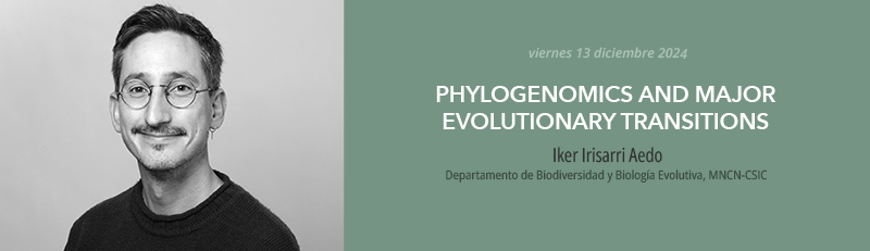 Baner del seminario del 13 de diciembre impartido por Iker Irisarri Aedo