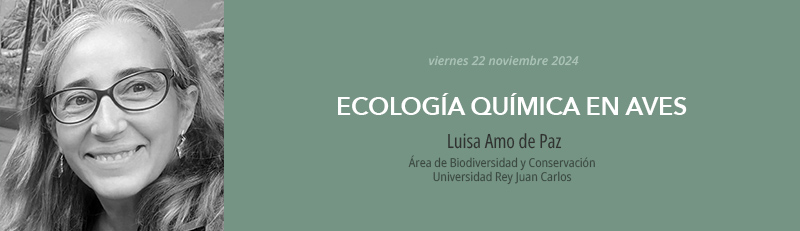 Seminario de investigación 22 noviembre 2024 - Luisa Amo de Paz