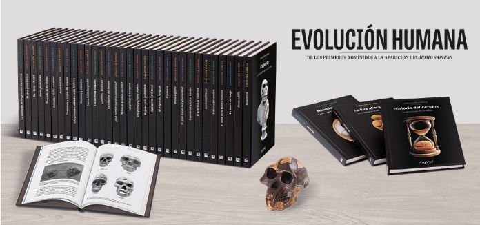 evolucion