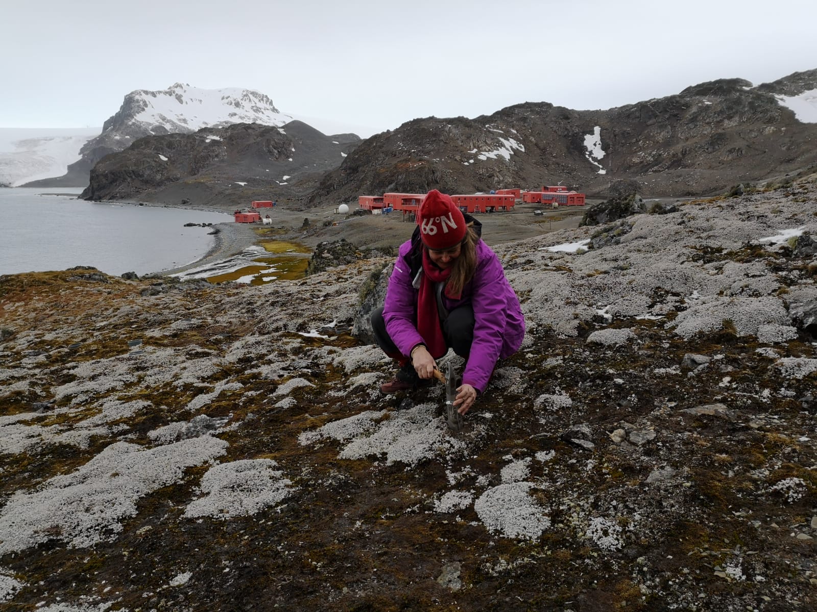 Sampling in Livingston Island (Antarctica)