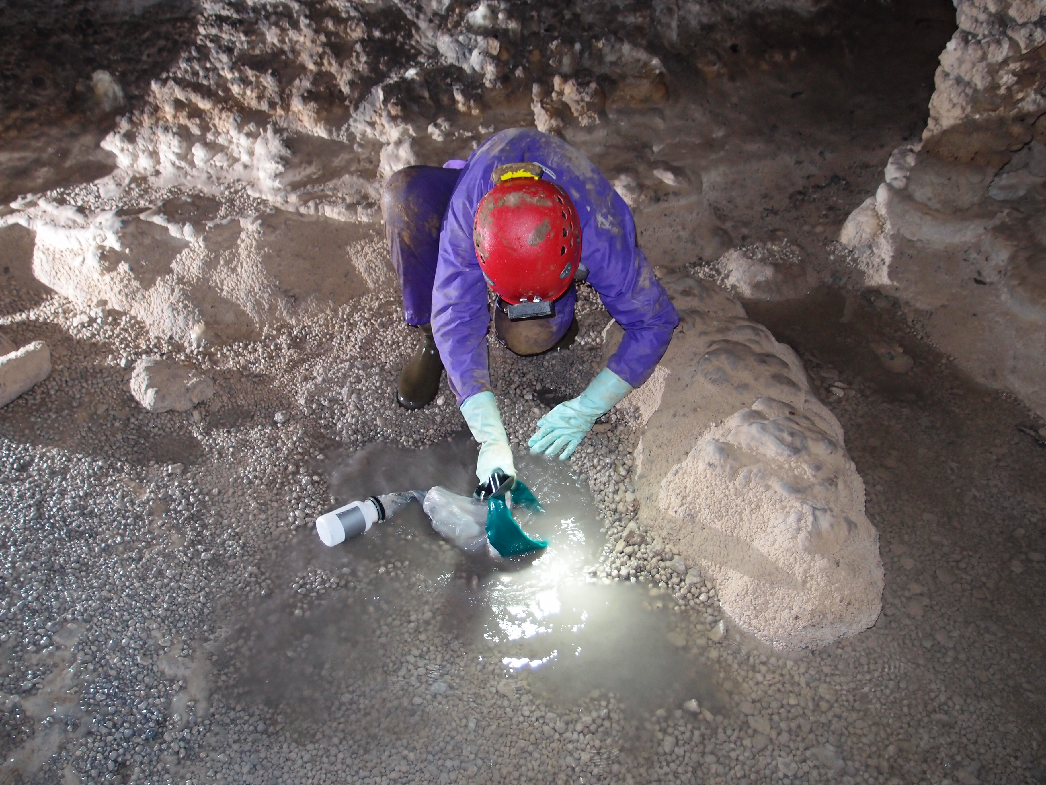 Tomando muestra de fauna acuática subterranea