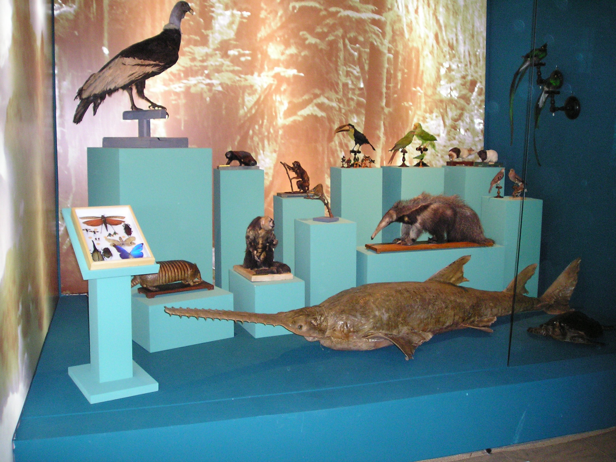 exposición avila