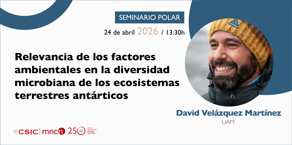 cartel del seminario impartido por David G. Angeler