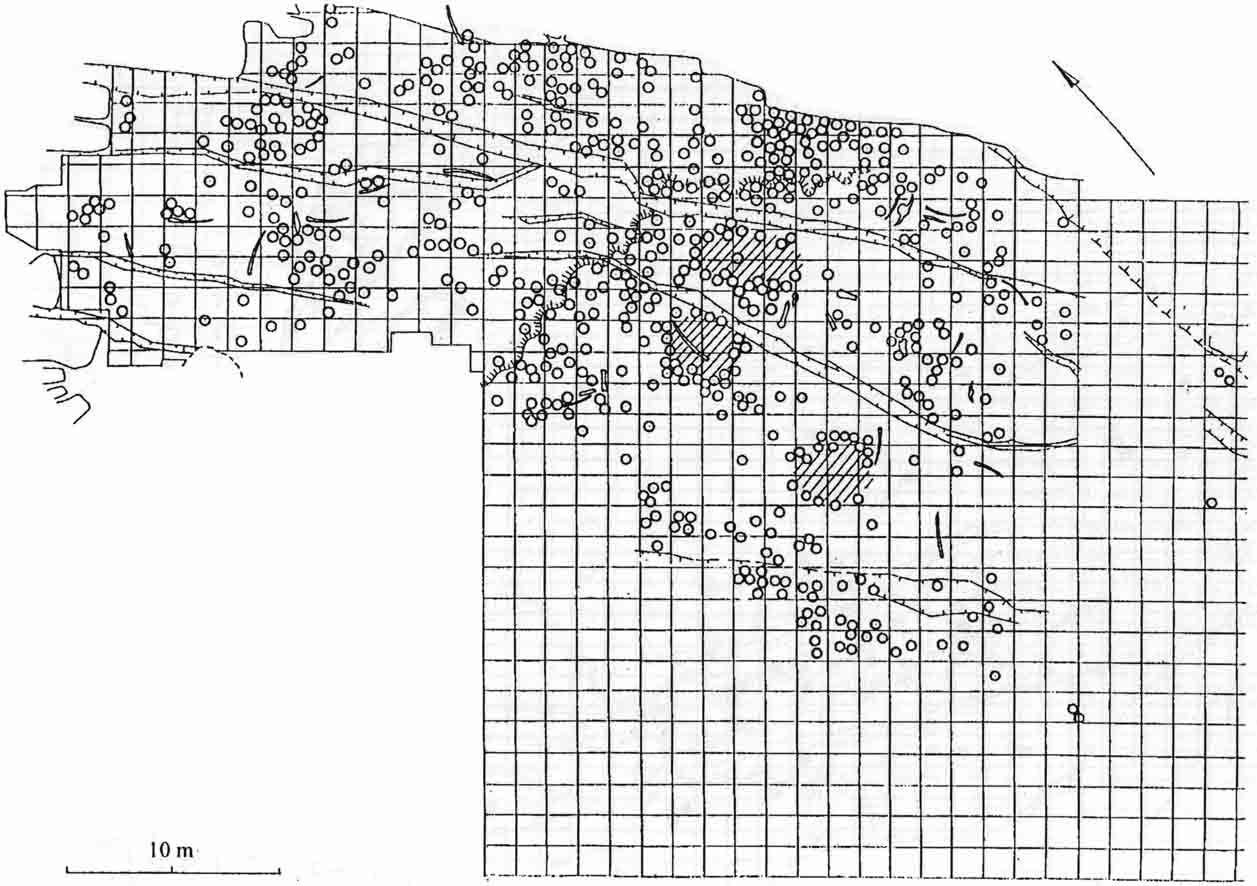 Bilzingsleben map larger skeletal elements