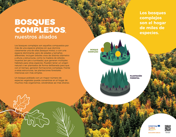 Exposición Bosques 