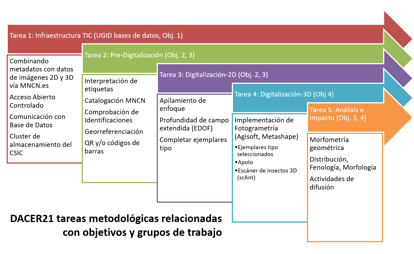 Esquema de tareas en DACER21